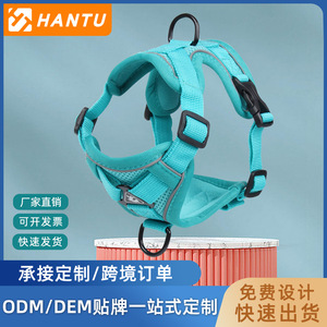 Pet Harness Nylon Adjustable Breathable For Cats Small Size With Bell And Tag Hook - Product Image 5