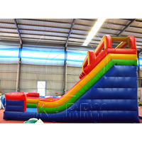 Château gonflable commercial double avec toboggan, en PVC robuste, écologique, certifié CE, pour parcs d'attractions extérieurs