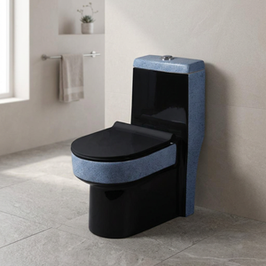 Dune Rustic Black One Piece Toilet for Man Women and Children Ceramic Supplier WC Sanitary Ware One Piece Monoblock Toilet - Product Image 1