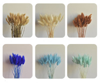Herbe de la Pampa naturelle séchée de haute qualité, style bohème, pour décoration de Pâques ou de mariage, chaque tige