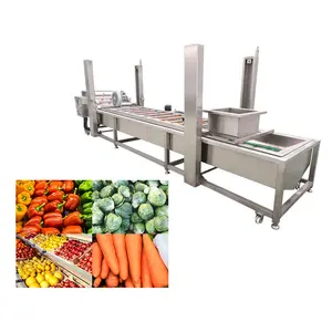 Fruit And Vegetable Washing Machine Vegetable And Fruit Washing And Sorting Machine Potato Carrot Cassava Washing And Peeling Machine Nut Cleaning Machine