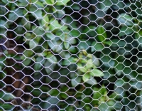 Grilles de protection rectangulaires en treillis métallique galvanisé et thermolaqué, fabriquées en usine, pour cages à pierres, résistantes aux rongeurs, vente chaude