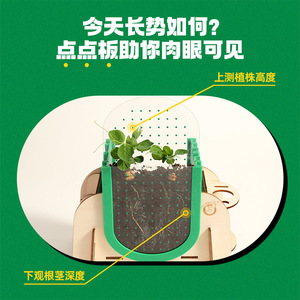 Kit de Observación del Sistema Radicular de Plantas Science Duck para Niños de 4 a 6 Años, Juguete Educativo con Ventana Transparente - Product Image 2