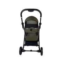 Poussette pour animaux de compagnie double réglable et confortable avec conception respirante étanche pliable avec type déodorant fixe
