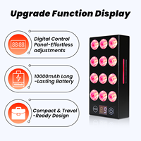Appareil PDT portable Ideatherapy OEM ODM 5W Dualchip 660 850nm, thérapie par la lumière LED pour le visage, lumière infrarouge, panneau de thérapie par la lumière rouge LED
