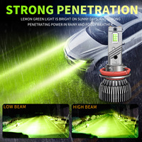 Phares de voiture LED personnalisés Wow H11 à double tube en cuivre 9005 Blanc lime 65W 12V Nouveaux phares antibrouillard H4/H16/H27/H13/H3 Ampoules universelles