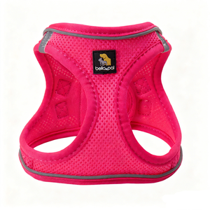 Diskon besar Set tali dada anjing kecil OEM taktis hewan peliharaan Teddy Lead dengan tombol penutup pola padat poliester tali dada anjing - Product Image 5