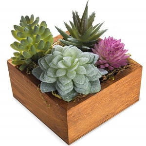 En gros <span class=keywords><strong>Pas</strong></span> <span class=keywords><strong>Cher</strong></span> Maison Décoration En <span class=keywords><strong>Bois</strong></span> Boîtes Planteur pour Intérieur - Product Image 3