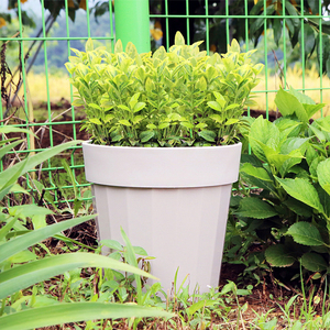 Maceta de Plástico Extra Gruesa y Resistente de 10L, Color Beige, con Paredes Acanaladas, Redonda, para Plantas de Interior, Uso Comercial y Patios - Product Image 3