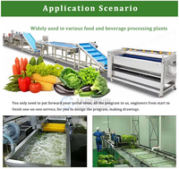800kg/uur snelvrieslijn voor fruit, groenten en vis, volautomatisch, hoge efficiëntie, gepasteuriseerde, op maat gemaakte uitvoering