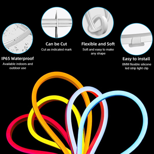 卸売 装飾照明 シリコン ネオンランプ リモート音声制御 フレキシブル レインボー IP65 SMD 24V スマートLED RGB ネオンロープライト - Product Image 5