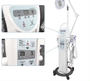 Hot <strong>Sale</strong> 19 in 1 Multifunction Facial Beauty <strong>Machine</strong>/spray Facial Beauty <strong>Machine</strong> - Product Image 5