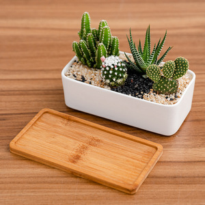 Jardinière de fleurs blanche moderne, pot de bonsaï succulent simple, pot de <span class=keywords><strong>plante</strong></span> rond rectangulaire avec plateau <span class=keywords><strong>en</strong></span> <span class=keywords><strong>bois</strong></span> rectangulaire - Product Image 3