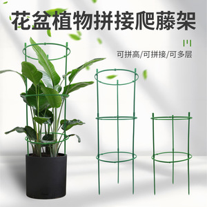 Plastic Flower <b>Support</b> Ring And Rod 17.5Cm X 5.5Cm 20Cm X 0.5Cm For Indoor Outdoor <b>Plant</b> Climbing Trellis - Product Image 3