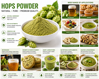 Extrait d'acides alpha standardisés de houblon (Humulus Lupulus) pour une brassage de bière précis