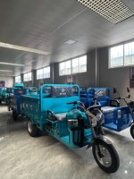 Triciclo Eléctrico de Litio de 800W para Transporte de Mercancías, Modelo EEC con Certificado COC