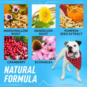 Gouttes liquides personnalisées pour le soutien rénal des animaux de compagnie – Formule à base de plantes naturelles pour chiens et chats – Soin rénal – Fourniture en gros OEM - Product Image 2