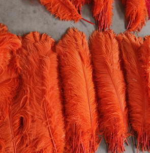 Plumes d'autruche teintées en gros, 50-80 cm, blanches <span class=keywords><strong>et</strong></span> noires, longues, pour centres de table de mariage - Product Image 2