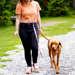 Laisse de chien de luxe en PVC, solide, mains libres, double crochet, réglable, durable, à dégagement rapide, couleurs personnalisées disponibles - Product Image 3