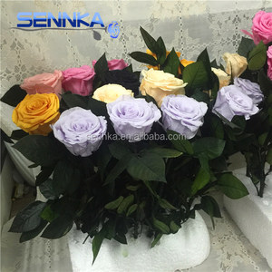 Vente en gros d'arrangements de fleurs séchées roses conservées <span class=keywords><strong>Bouquet</strong></span> de fleurs avec longue tige - Product Image 6