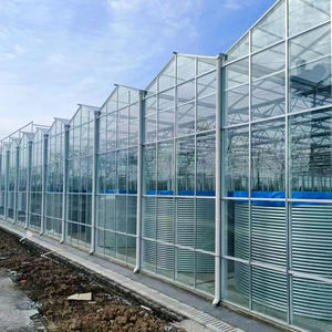 Serre en acier galvanisé <span class=keywords><strong>à</strong></span> chaud <span class=keywords><strong>à</strong></span> faible coût pour concombres et tomates dans des maisons en verre agricole <span class=keywords><strong>à</strong></span> cadre - Product Image 6