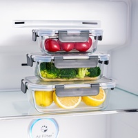 Hoge borosilicaat dikke vierkante glazen lunchbox, FDA-conform, milieuvriendelijk, magnetronbestendig, BPA-vrij, 4-voudig afsluitbaar, voor op kantoor