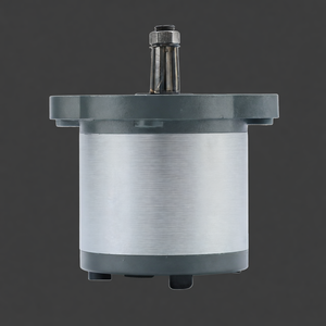 Moteurs hydrauliques et pompes à engrenages de petite taille, accessoires spécifiques pour machines de nettoyage routier - Product Image 5