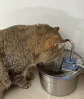 Distributeur d'eau automatique pour animaux de compagnie en acier inoxydable avec capteur de débit circulant, affichage LCD et réglage de l'heure pour chats et chiens