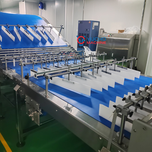 Linea di Produzione Continua per Rotoli Svizzeri YUCHO con Motore Servo in Acciaio Inox 304 di Grado Alimentare e Taglio Dinamico - Product Image 3