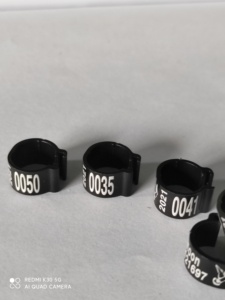 001-100 numerato 8MM fasce per gambe in plastica per uccelli gallina piccione anelli per piedi pulcini anelli per pappagalli per pappagallo - Product Image 2