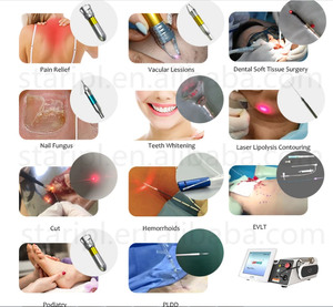 2024 Máquina de ajuste vaginal Fisioterapia ginecológica Rejuvenecimiento vaginal láser 980nm 1470nm Diodo láser dolor vaginal - Product Image 5