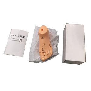 Model akupuntur kaki 13cm, titik akupunktur refleksi kaki manusia, alat bantu mengajar Pijat Model kaki - Product Image 2