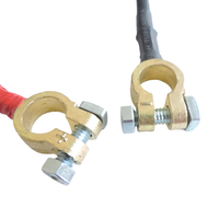Connecteurs de batterie de voiture personnalisés en usine, câble OEM M10, déconnexion rapide, bornes en laiton, UL1015 6AWG, faisceau de câbles haute tension