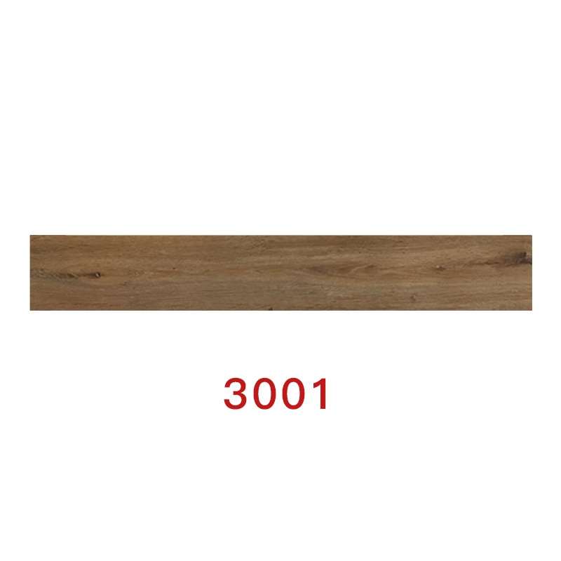 3001