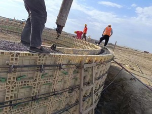 Curved Plastic Formwork for Concrete Wall and <b>Building</b> Construction - Product Image 6