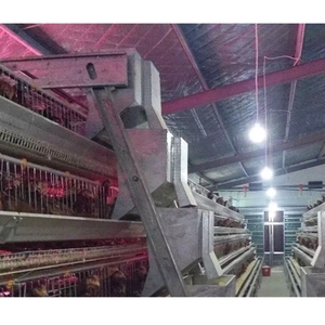 Gia Cầm Trang Trại Trứng Gà Nhà Thiết Kế Cho Lớp Kenya/Uganda/Ghana/Ethiopa - Product Image 5