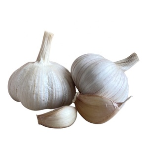 Ajo Blanco Normal Certificado Jin <span class=keywords><strong>Xiang</strong></span> Shandong, Marca Fenduni, Cosecha Nueva, Fresco, de Alta Calidad, Precio al por Mayor, 4.5-6.5cm, Enfriado - Product Image 1