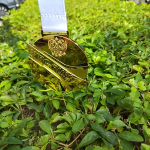 Xieyuan Custom With Ribbon Logo Manufacturing Souvenir Gold Plated Football Bike Marathon Running Blank Sports Metal Medal