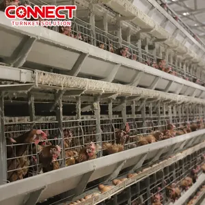 Completely Poultry Farming Equipment Set HDG Chicken Laying Egg House Battery Chicken Layer Cage System With Quality Material