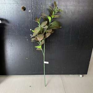 ใบเพเปอโรเมียเทียม3สาขาปรับแต่งสไตล์และการตั้งค่าต่างๆได้ตามต้องการ - Product Image 5