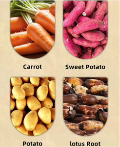Laveuse à brosse à économie d'énergie <span class=keywords><strong>au</strong></span> meilleur <span class=keywords><strong>prix</strong></span>, conception facile d'entretien pour les petites usines de transformation de fruits - Product Image 5