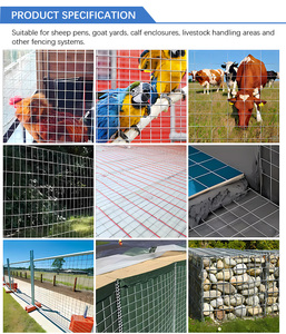 Heavy Duty <strong>Hog</strong> <strong>Panel</strong> Feedlot Fence for Sheep Goat Livestock Galvanized Farm Corral <strong>Panel</strong> - Product Image 4