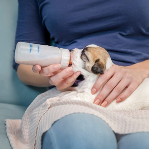 Latte di capra per cuccioli latte di capra in polvere piena crema per cuccioli gattini integratore di cani da compagnia e arricchito con vitamina colostro - Product Image 6