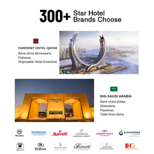 Pito Horeca Trắng nhà hàng hình trứng gốm phục vụ đặt sứ bát súp đặt - Product Image 4