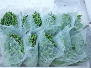 Idéal pour les plateaux de légumes variés, combinaison d'aliments surgelés assortis, ingrédients à assortir, asperges surgelées - Product Image 5
