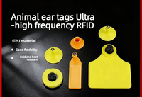 Étiquette RFID UHF pour animaux, en TPU, pour porcs, bovins, ovins, bétail, traçabilité, étanche IP67, durable, codage personnalisable, mini-étiquette, portée de 10 m
