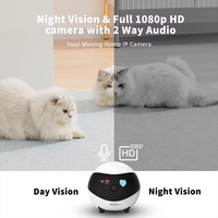 EBO Air Pet Bewegungs erkennungs kamera Roboter Katze Hund Mobile Nachtsicht kamera für Haustiere