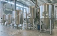 Fermentador Cónico de Acero Inoxidable de 3000L 30HL con Aislamiento de PU de 80mm para Producción de Alcohol, Recipiente a Presión Automático