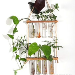 Wall Mounted Hydroponic <b>Plant</b> Holder Wooden <b>Frame</b> Glass Test Tubes Greenery Decor For Home Office Indoor <b>Plants</b> - Product Image 4