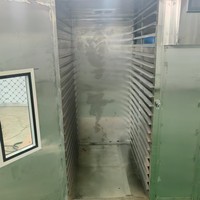 Séchoir à plateau de traitement des fruits Déshydrateur d'aliments commercial adapté aux noix de bétel Ananas Tomates et dattes